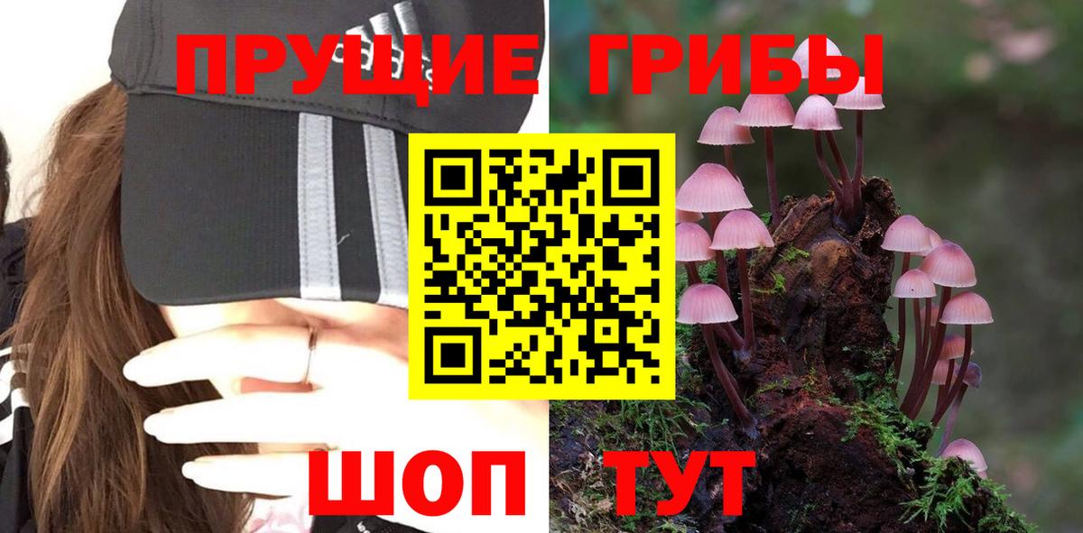 Псилоцибиновые грибы GOLDEN TEACHER  Псилоцибиновые грибы мухоморы  Вход с VPN  Краснокамск 