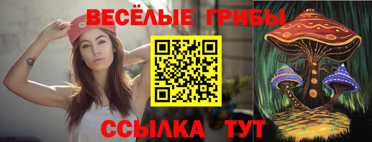 Галлюциногенные грибы Psilocybe Краснокамск